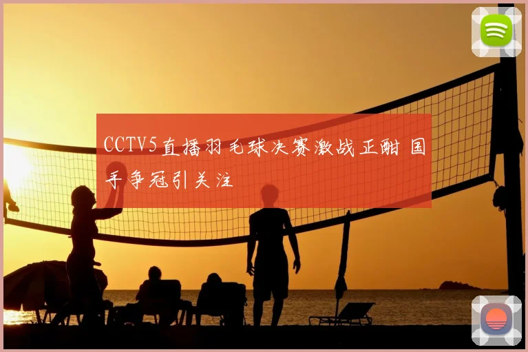 CCTV5直播羽毛球决赛激战正酣 国手争冠引关注