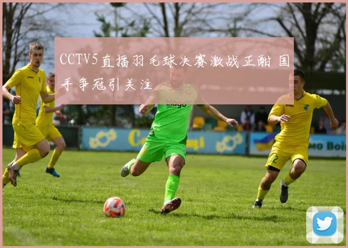 CCTV5直播羽毛球决赛激战正酣 国手争冠引关注