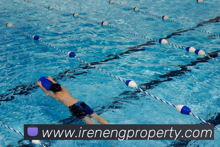 多媒体互动体验